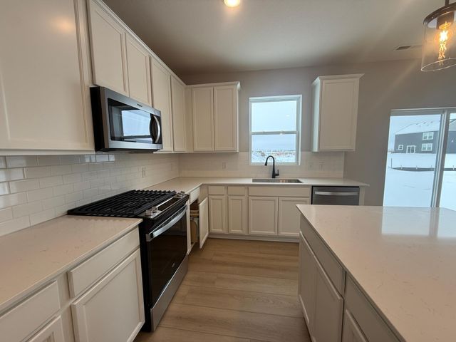 15032 Athenry Bay, Rosemount, MN 55068