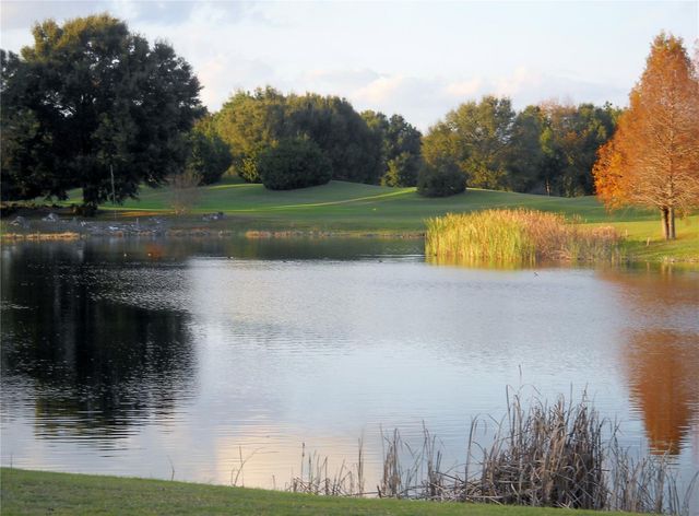 10971 SW 85TH TERRACE, Ocala, FL 34481