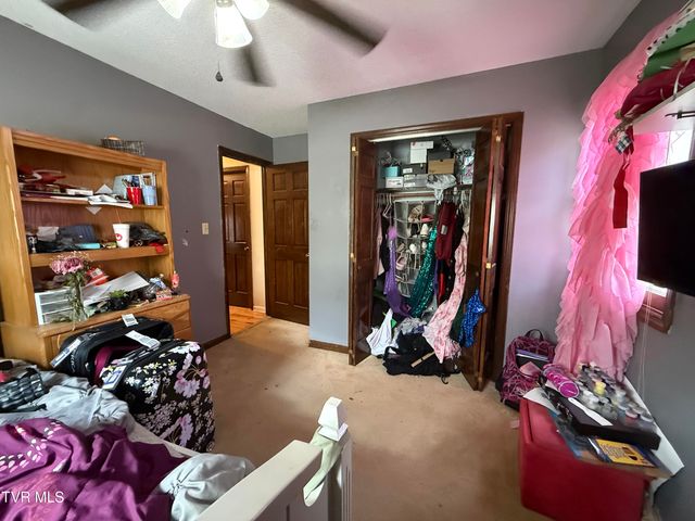 5 Overlook Court, Johnson City, TN 37604