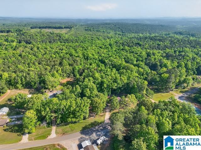 6411 COUNTY ROAD 28, Clanton, AL 35046