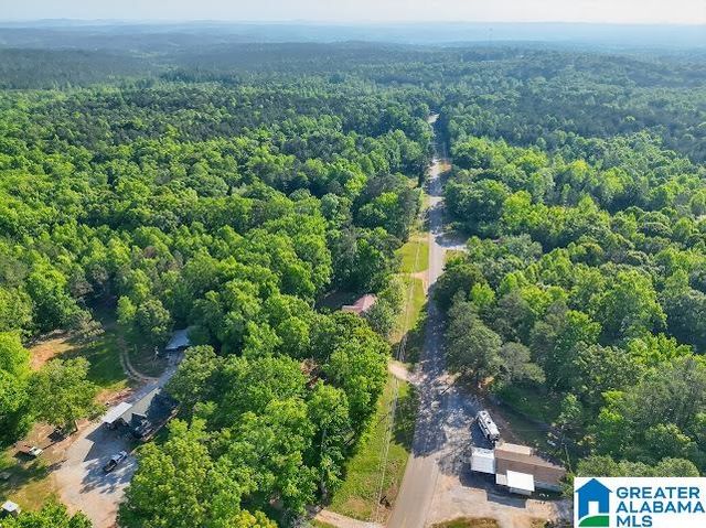 6411 COUNTY ROAD 28, Clanton, AL 35046