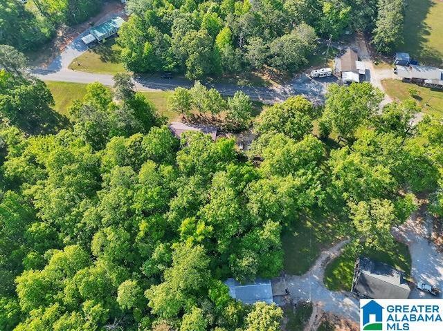 6411 COUNTY ROAD 28, Clanton, AL 35046