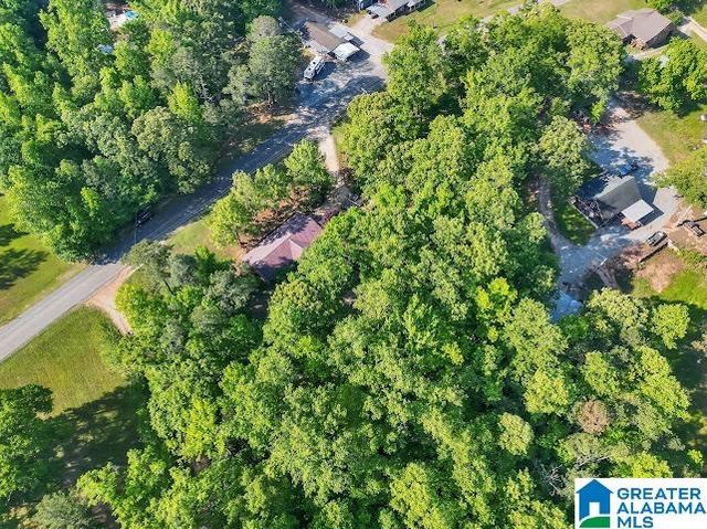 6411 COUNTY ROAD 28, Clanton, AL 35046