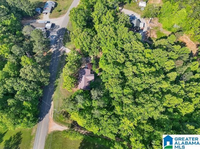 6411 COUNTY ROAD 28, Clanton, AL 35046