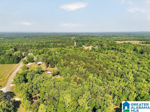 6411 COUNTY ROAD 28, Clanton, AL 35046