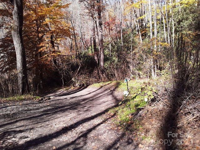 2200 Walnut Creek Road, Marshall, NC 28753