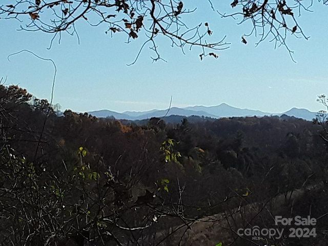 2200 Walnut Creek Road, Marshall, NC 28753