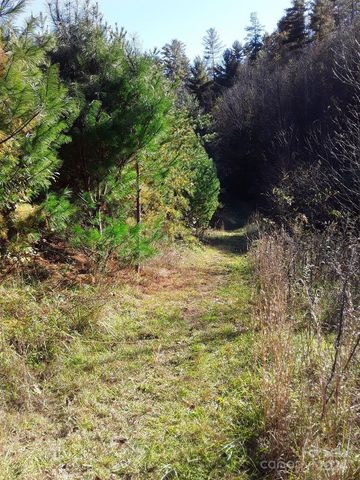 2200 Walnut Creek Road, Marshall, NC 28753