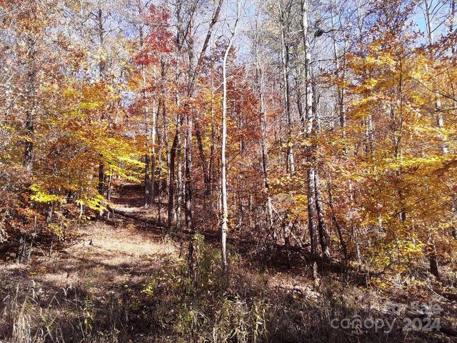 2200 Walnut Creek Road, Marshall, NC 28753
