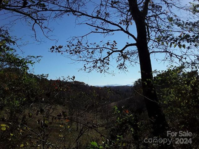 2200 Walnut Creek Road, Marshall, NC 28753