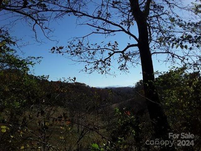 2200 Walnut Creek Road, Marshall, NC 28753
