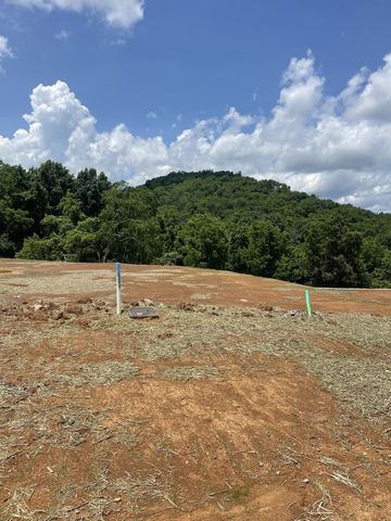 151 Berry Hunter Lane, Franklin, TN 37067