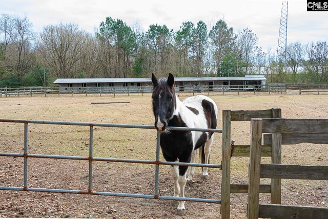 6 Running Fawn Court, Hopkins, SC 29061