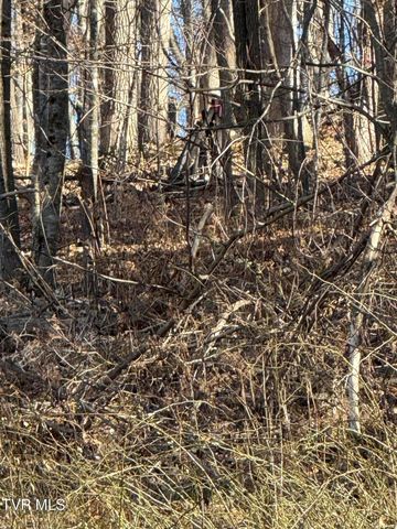 Tbd Stocton Road, Roan Mountain, TN 37687