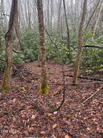 Tbd Stocton Road, Roan Mountain, TN 37687