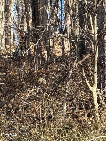 Tbd Stocton Road, Roan Mountain, TN 37687