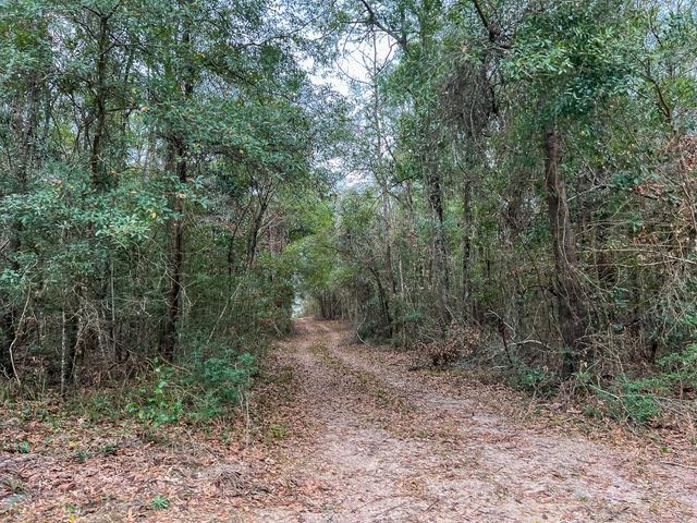 T-1 Highway 190, Newton, TX 75966