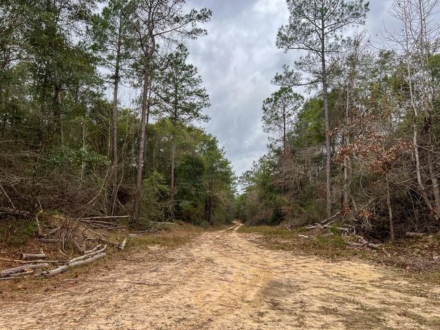 T-1 Highway 190, Newton, TX 75966