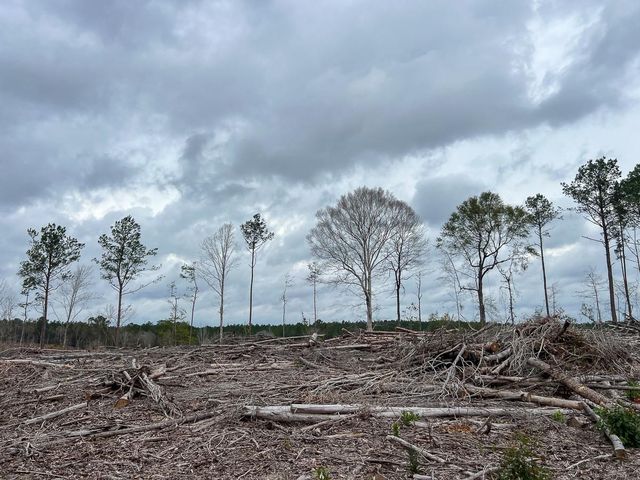 T-1 Highway 190, Newton, TX 75966