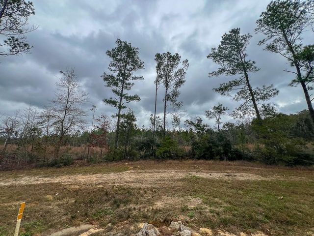 T-1 Highway 190, Newton, TX 75966