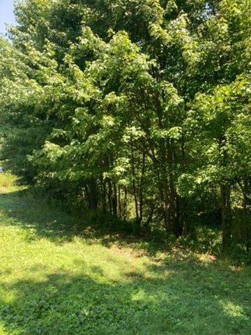 33 Stair Falls Drive, Rochester, NH 03868