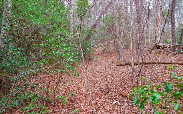20 AC Hidaway Drive, Ellijay, GA 30536