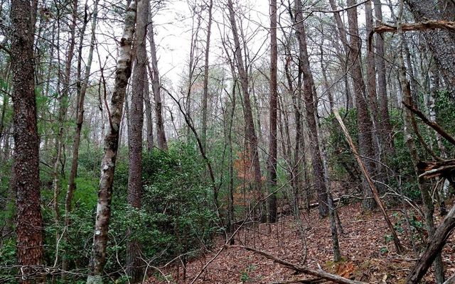 20 AC Hidaway Drive, Ellijay, GA 30536
