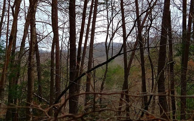 20 AC Hidaway Drive, Ellijay, GA 30536