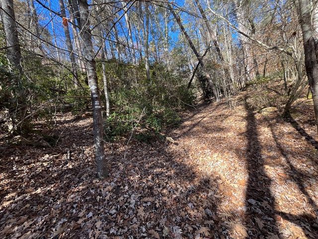 20 AC Hidaway Drive, Ellijay, GA 30536