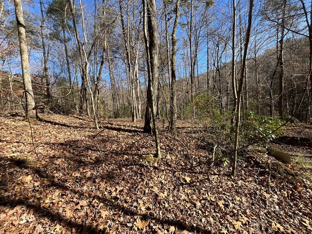 20 AC Hidaway Drive, Ellijay, GA 30536
