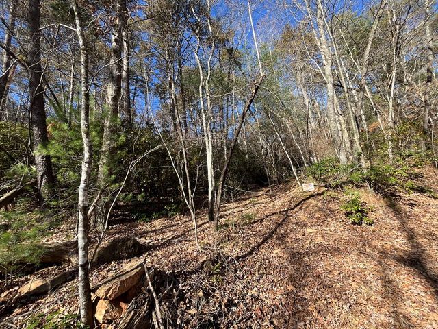 20 AC Hidaway Drive, Ellijay, GA 30536