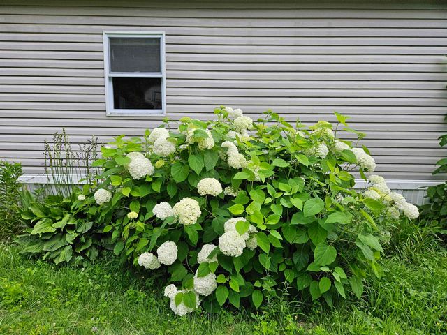 245 Lazy Brook Drive, Starksboro, VT 05487