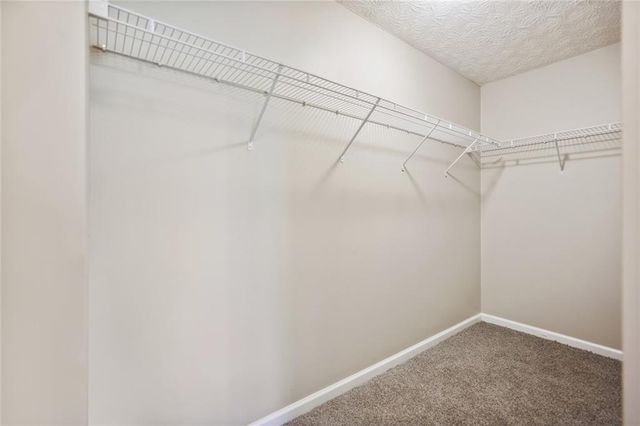 4922 Vireo Drive, Flowery Branch, GA 30542