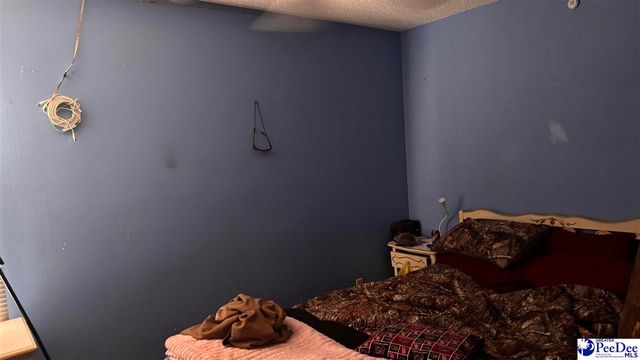 524 Springview, Darlington, SC 29532