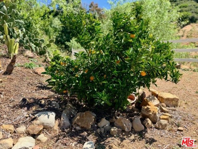 3800 Latigo Canyon Road, Malibu, CA 90265