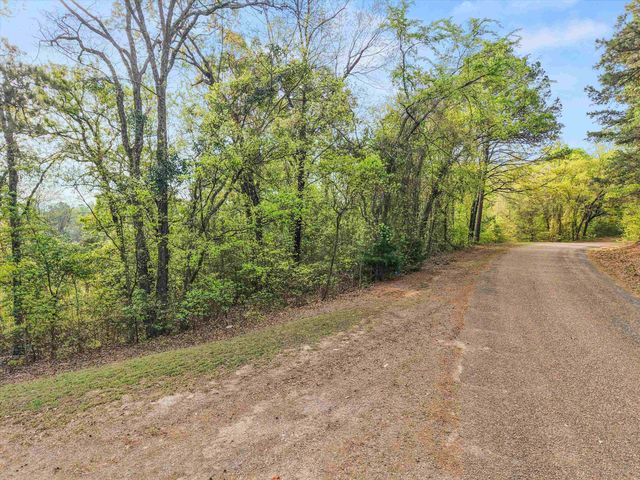 571 County Road 2215, Daingerfield, TX 75638