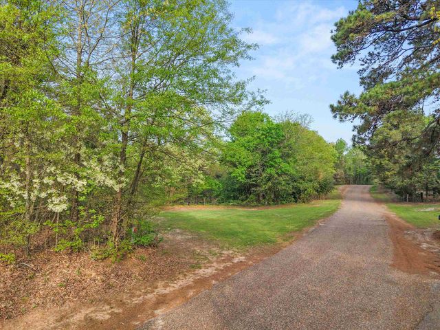 571 County Road 2215, Daingerfield, TX 75638