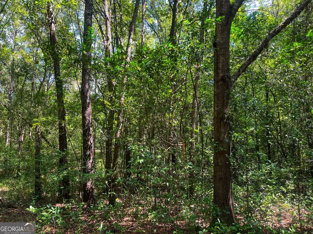 1508 Liberty Expressway SE, Albany, GA 31705