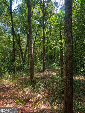 1508 Liberty Expressway SE, Albany, GA 31705