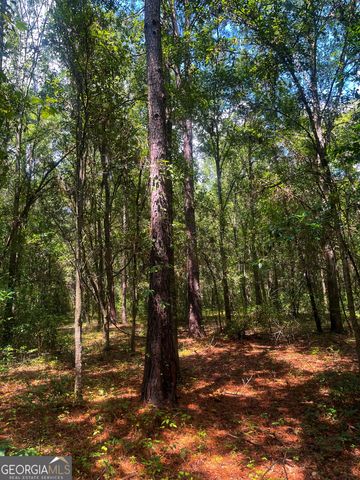 1508 Liberty Expressway SE, Albany, GA 31705