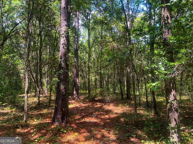 1508 Liberty Expressway SE, Albany, GA 31705