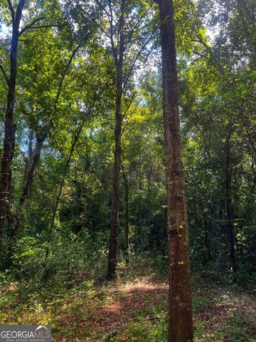 1508 Liberty Expressway SE, Albany, GA 31705