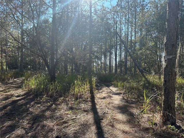 2406 LAKE ELLA ROAD, Fruitland Park, FL 34731