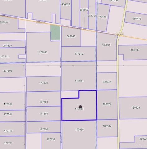 0 Louisiana Road, Santa Rosa, TX 78593