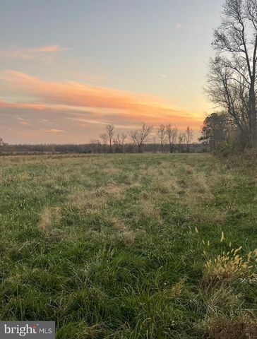 36555 SHEPPARDS CROSSING RD, Willards, MD 21874