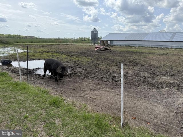 36555 SHEPPARDS CROSSING RD, Willards, MD 21874