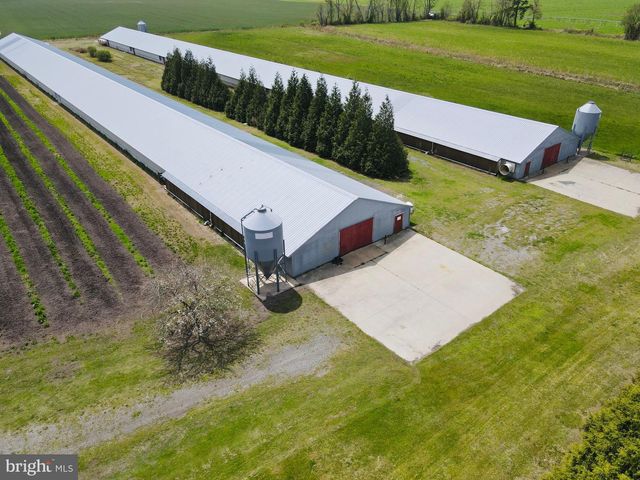 36555 SHEPPARDS CROSSING RD, Willards, MD 21874