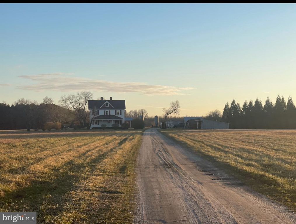 36555 SHEPPARDS CROSSING RD, Willards, MD 21874