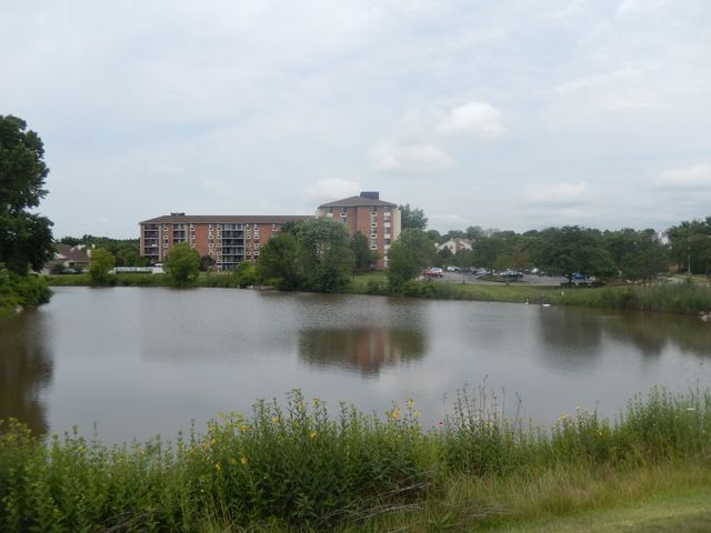 75 Kristin Circle 401, Schaumburg, IL 60195