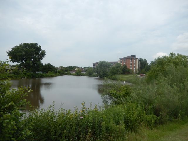 75 Kristin Circle 401, Schaumburg, IL 60195